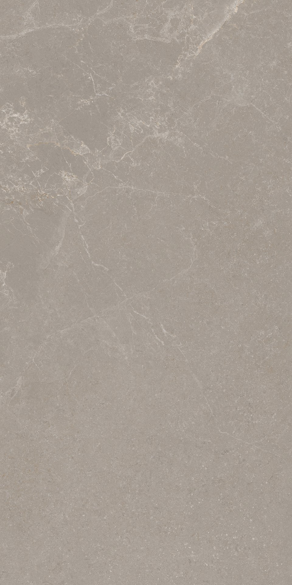 30x60 NOBLE STONE TAUPE NAT RET