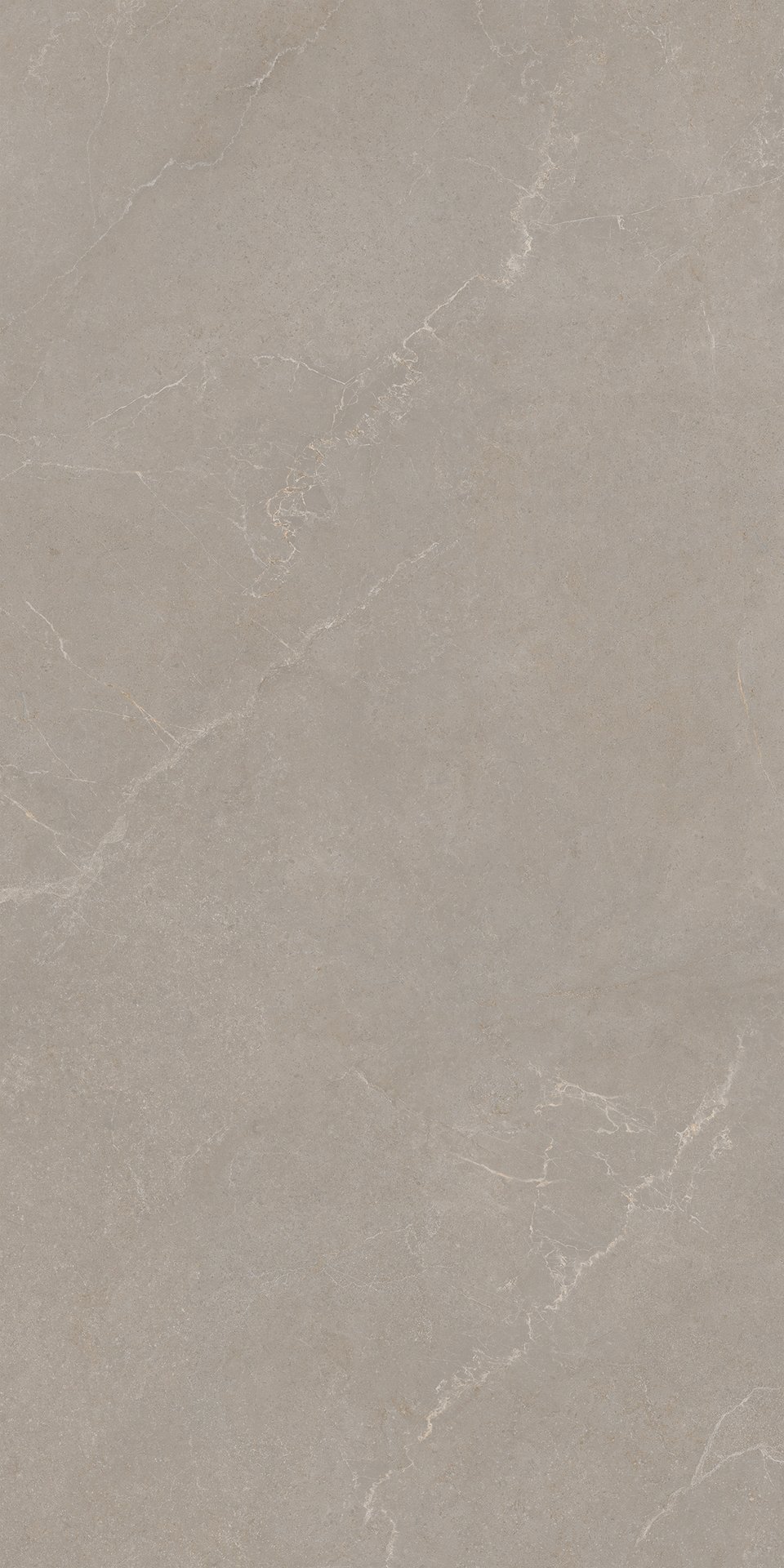 60x120 NOBLE STONE TAUPE NAT RET