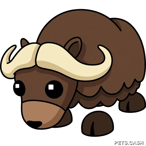 Musk Ox