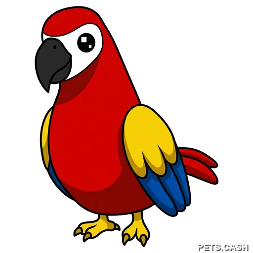 Parrot