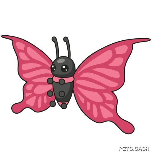 2021 Uplift Butterfly