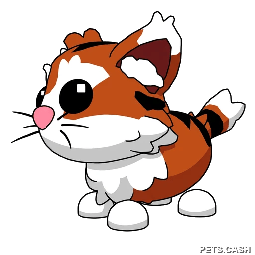 Munchkin Cat