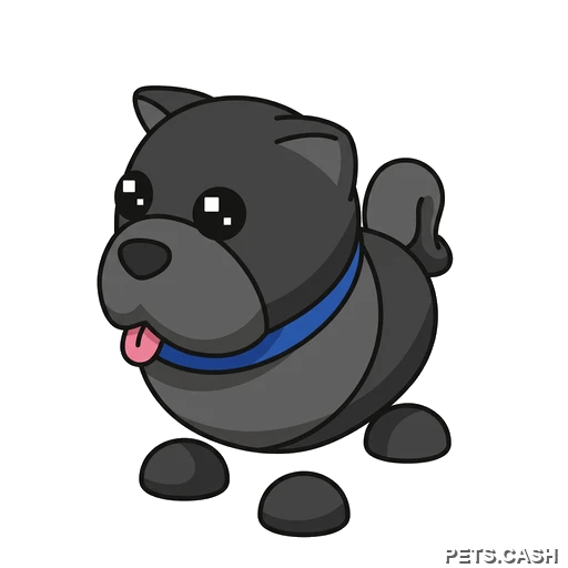 Black Chow-Chow
