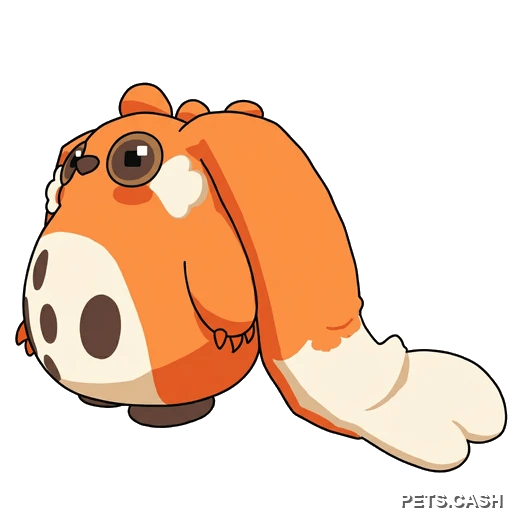 Cabbit