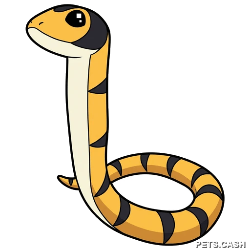 Yellow-Lipped Sea Krait
