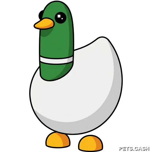 Silly Duck