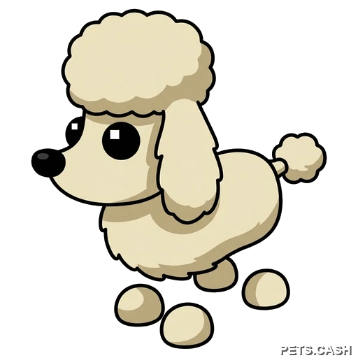Poodle