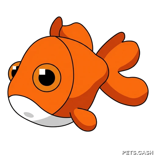 Goldfish