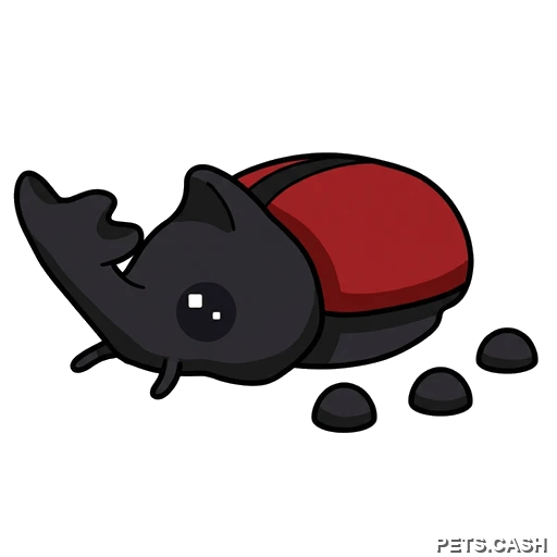 Rhino Beetle