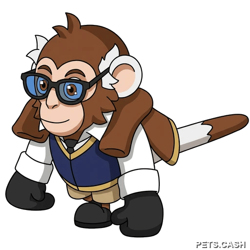Preppy Capuchin Monkey