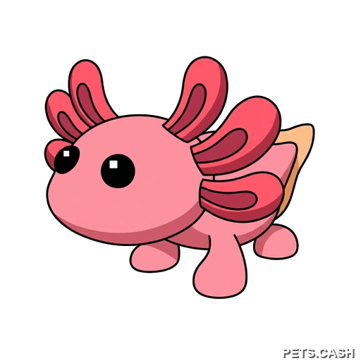 Axolotl