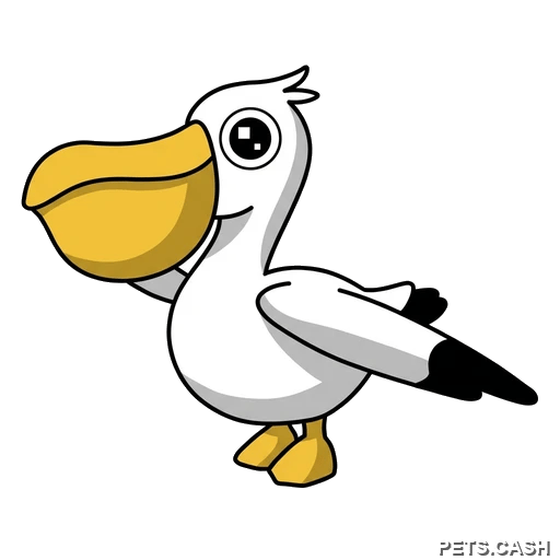 Pelican