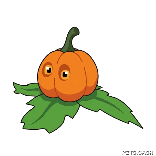 Pumpkin Friend