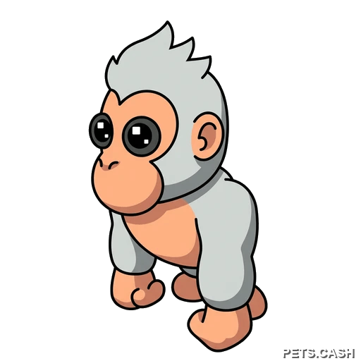 Albino Gorilla