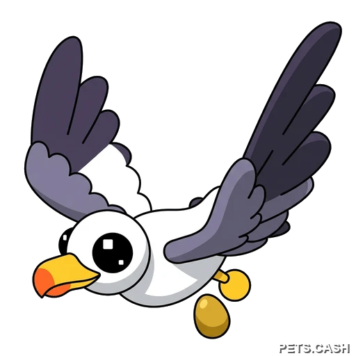 Seagull