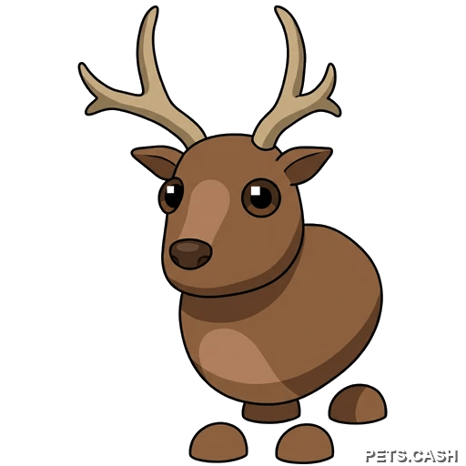 Reindeer