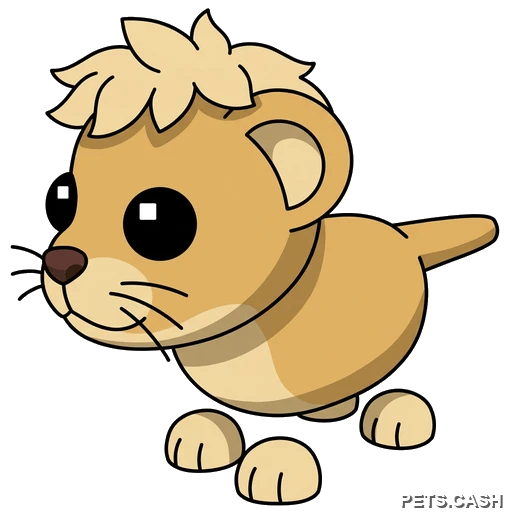 Lion Cub