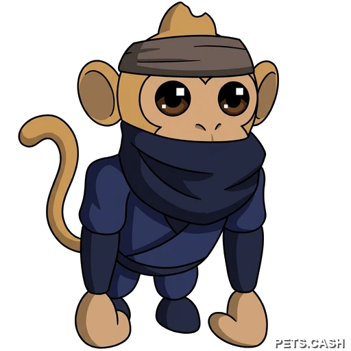 Ninja Monkey