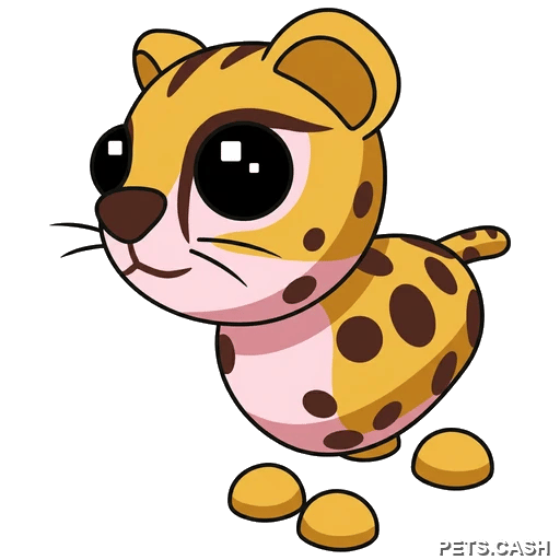 Cheetah