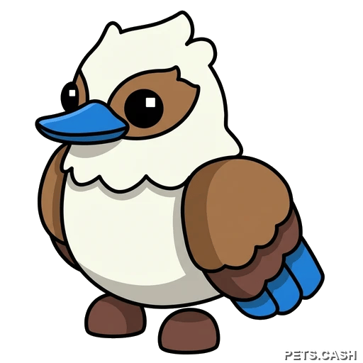 Kookaburra