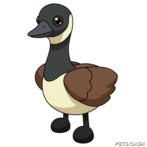 Canadian Goose
