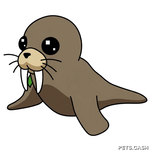 Walrus