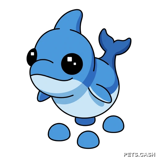 Shark Puppy