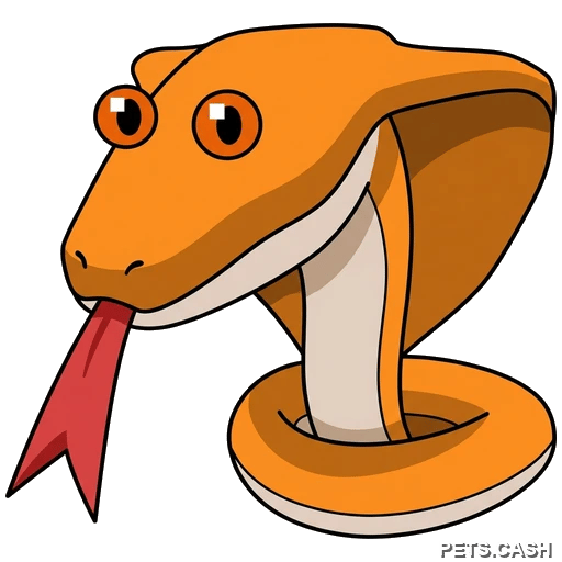 Cobra