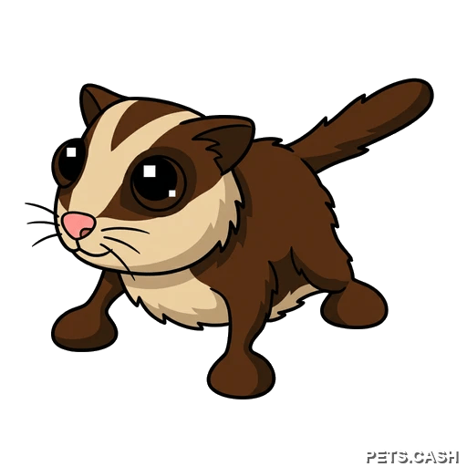 Sugar Glider