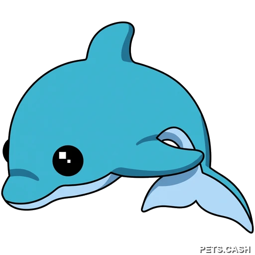 Dolphin