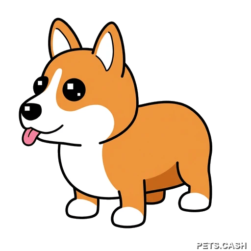 Corgi