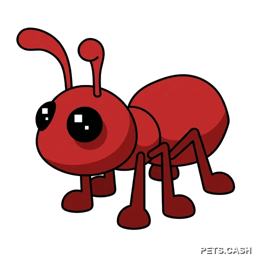 Ant