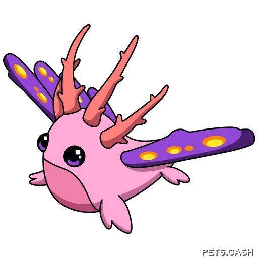 Sea Slug