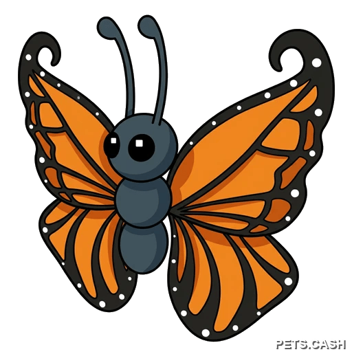 Orange Butterfly