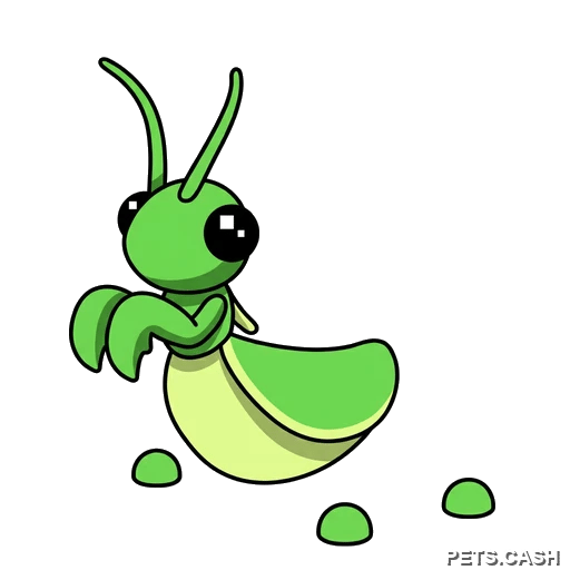 Praying Mantis