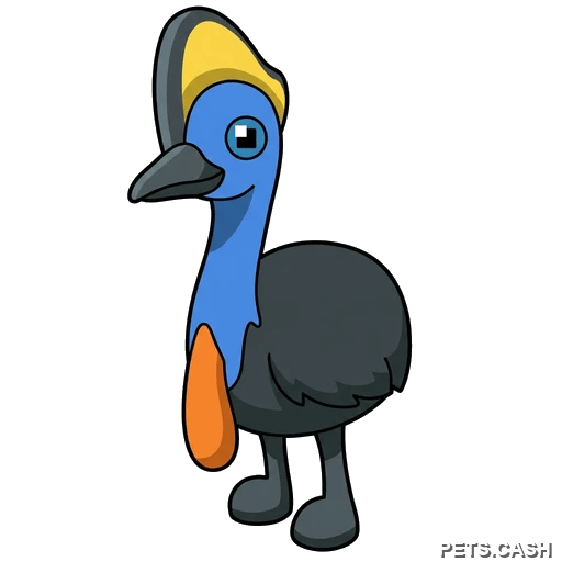 Cassowary