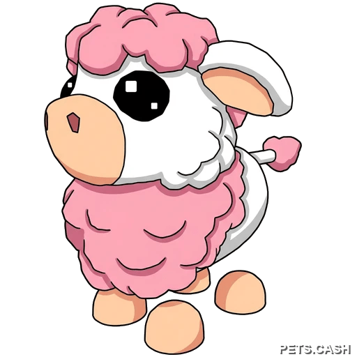 Angus Cow