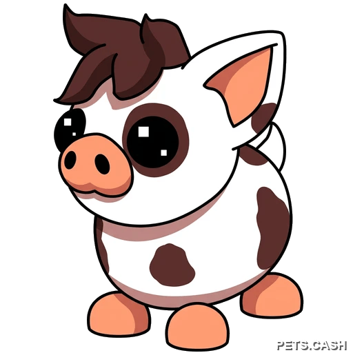Mini Pig