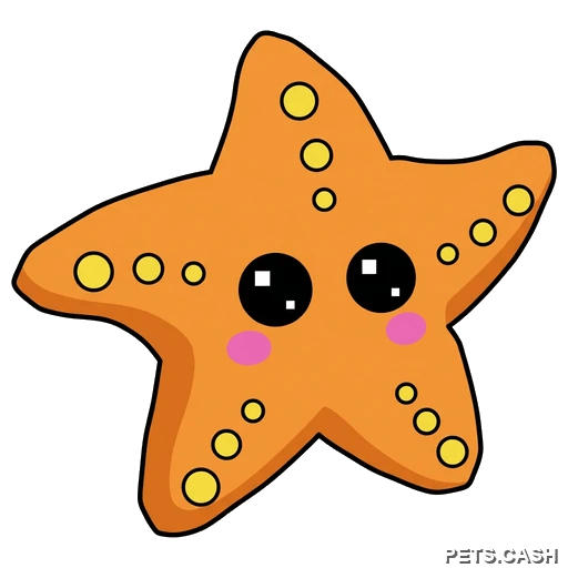 Starfish