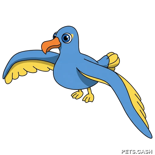 Diamond Albatross