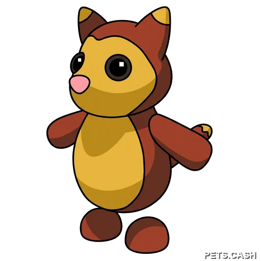 Tree Kangaroo