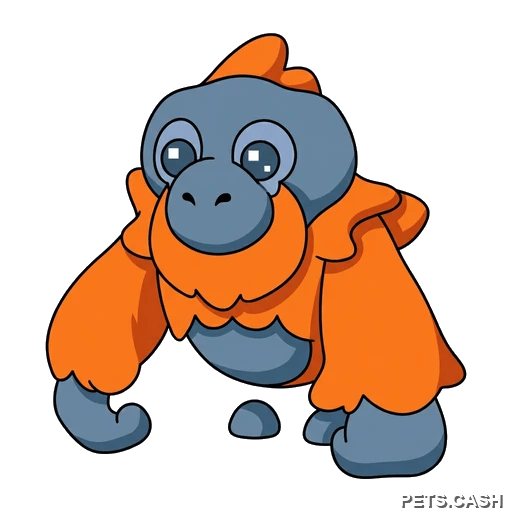 Orangutan