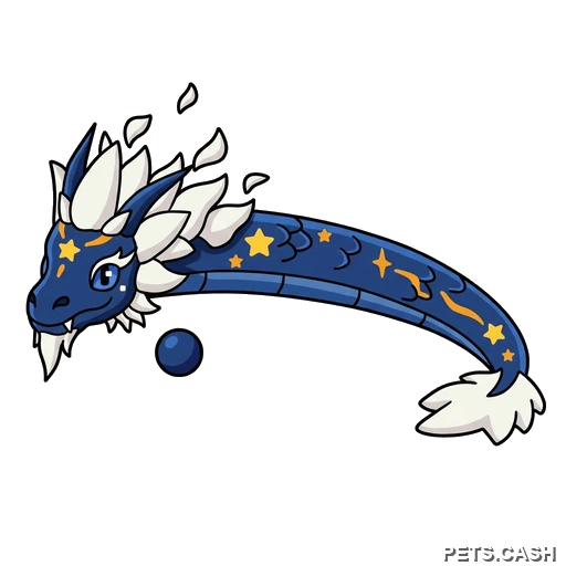 Midnight Dragon