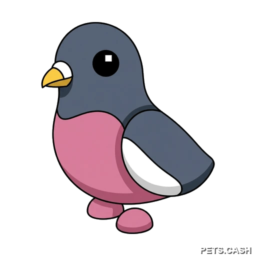 Wood Pigeon