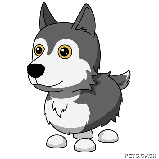 Husky