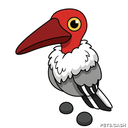 Marabou Stork