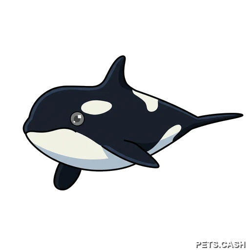 Orca