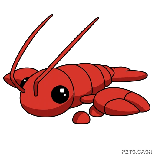 Lobster