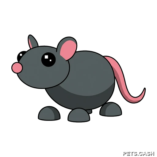 Rat