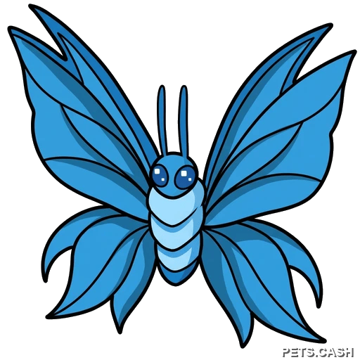 Birthday Butterfly 2024